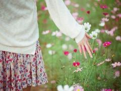 花言葉は「乙女の真心」5色のコスモスから学ぶ素敵な女の子の条件について