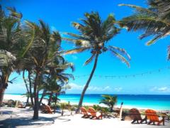 青い海を独り占めキブン。糸島のビーチでみつけたヤシの木ブランコ