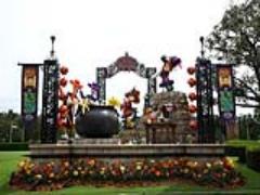 ハロウィーンは東京ディズニーリゾートへ！今年の楽しみ方を教えます♡＃1