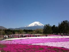 東京から2時間！山梨の観光スポットもグルメもまるごと満喫プラン♡