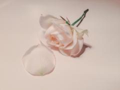 ほんのり色づくのが色っぽい。あえての”薄づきコスメ”で大人の女に