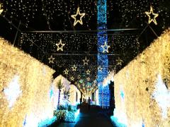 天使が舞う光のトンネル。眩しいくらい輝く、静岡屈指の時之栖イルミネーション