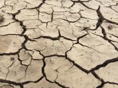 毎日がんばる私にご褒美を。肌質別シートマスクの選び方でもっと美肌に♡