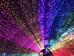 綺麗なイルミネーションは誰と見に行くの？たくさんリサーチしなきゃ♡