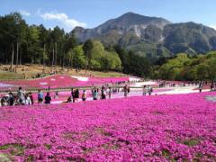 自然豊かな秩父の人気観光スポット♪日帰りで楽しめる旅行プラン