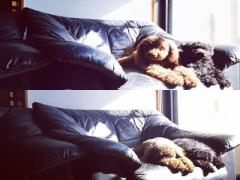 【2016年版】秋ネイルはもう終わり！今から取り入れるタイプ別冬ネイルコレクション