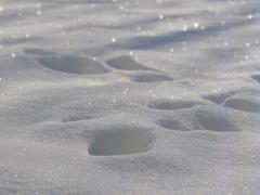 その透明感、まるで白雪姫♡冬の“ブルージュカラー”で作る最旬ヘアスタイル