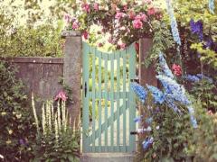 【11/18】冬の肌にとろりとしたご褒美を♡IGNISのエクストラHがリニューアル発売