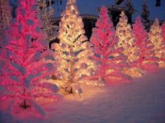 ホワイトクリスマスも夢じゃない？“人工雪”で雪遊び気分を堪能しましょ♡