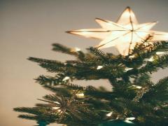 SNS映えもばっちり。クリスマスはわいわいホームパーティーしましょ