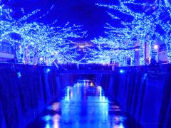 昼と違うロマンチックな雰囲気に酔う。1日の〆は中目黒「ジュエルドーム」で決まり