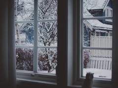 ダイエットも冷え取りも叶う。生姜を取り入れて身体の中からぽかぽかに