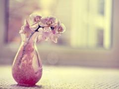 おしゃれには我慢がつきもの？女の子の「楽してかわいい」のためのお助け美容