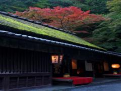 観光だけで終わらせない。京都で叶える後悔しない女子旅の秘訣5か条