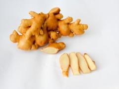 冷え性対策に、身体の芯から温めよう！ 蒸しショウガ粉末で生き返る♡