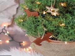 指先に素敵なクリスマスを用意して。12月だからこそ施す”プレゼントネイル”