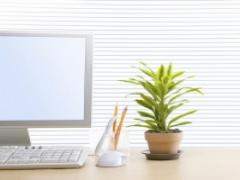 医師に聞いた！オフィスでの乾燥対策