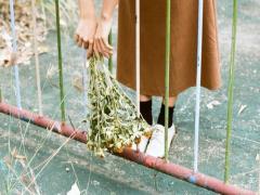 すべてのズボラ女子必見。あなたの失くしものが減らない理由を検索サーチ