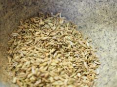 「フェンネルシード」が凄すぎると海外で話題！短期ダイエットの味方に