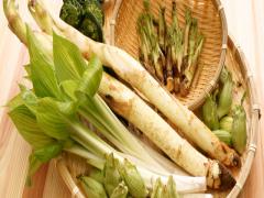 春野菜と山菜で冬の老廃物をスッキリ！栄養士おすすめの食材で自然派料理