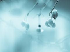 顔の温活でアンチエイジング＆小顔に！