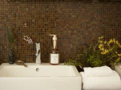 めざせ美ボディライン☆9種の植物エキスで洗いながらマッサージできる「アビヤンガ ボディ