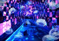 すみだ水族館×清川あさみが初コラボ！宮沢賢治の童話をテーマに幻想世界へと誘う