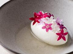 毎日変わるコースの品数は12～15皿！ 美しきモダン・ノルディック・キュイジーヌ『AQUAVIT』