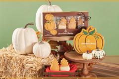 ホノルル・クッキー・カンパニーに「2017年 フォールコレクション」が登場