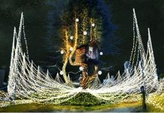 ひらかたパーク、史上最大180万球が園内を彩る　「光のガーデン」に5つの新エリア登場