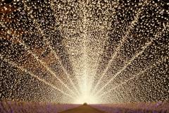 「なばなの里」イルミネーションにくまモン登場　熊本名物＆王道グルメも充実