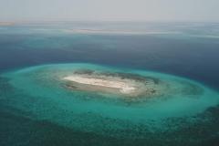 世界初撮影“砂漠の国”スーダンの美しきサンゴ礁＆ジュゴンの楽園に迫る