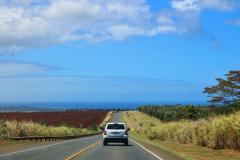 ワイキキの喧騒から離れた「タートル・ベイ・リゾート」で隣島気分を満喫