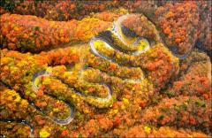 【2017年】日光の紅葉エリア別見ごろ時期発表 「日光東照宮」のピークはいつ？