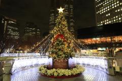 新宿の街に30万球のイルミ輝く、クリスマスムード漂うロマンチックな夜を演出