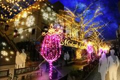 自由が丘で初のクリスマスイルミ、体の芯から温まるホットワインで乾杯