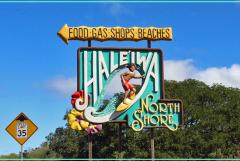 観光もショッピングもグルメも楽しめる「オアフ島一周よくばり観光」