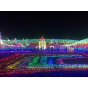 今年はどこ行く？都内近郊「イルミネーションイベント」人気ランキング2017