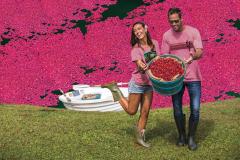 「クレイジーシャツ」にクランベリー染めのTシャツが新登場