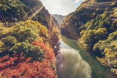 東京・奥多摩は人気の紅葉スポット！見頃やオススメコースを押さえてドライブへ