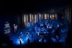 日本初ナイトウォーク「LUMINA」上陸、光と映像で冬の美しさを体験