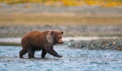 秋の北海道がすごいんです♡インスタで見つけた絶景とグルメを一挙に紹介！