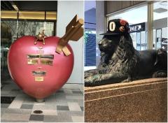 次に来るのはココ！ガイドブックにはあまり載らない福岡のおすすめスポット