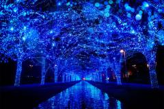 渋谷「青の洞窟」で年越しカウントダウン＆ストリートパーティー開催決定