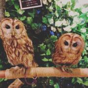 いつもと違う1日を♡ユニークな都内の変わり種カフェ4選