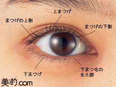 まつげ美容液の効果的な使い方をマスター！おすすめまつげ美容液一覧も |