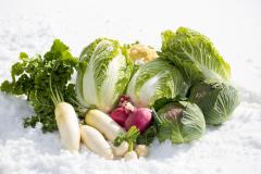 美味しくて安い♡旬の“冬野菜”を使ったメインおかずレシピ