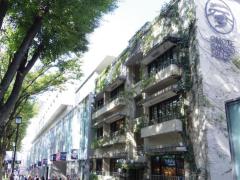 パワースポットを巡って運気をあげる！新年におすすめのまち歩きスポット