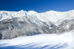 SNS映え確実！今だけの雪絶景が楽しめる、おすすめ夜祭イベント