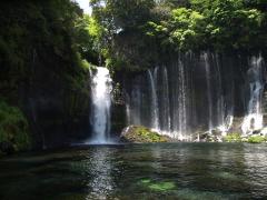 静岡は日帰り旅行にピッタリ！ドライブに最適なオススメスポット6選